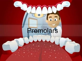 Premolars 
 