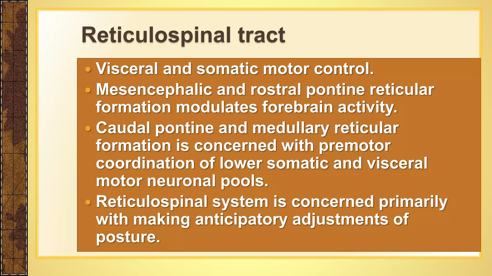 Visceral and somatic motor control.
 Mesencephalic and rostral pontine reticular
formation modulates forebrain activity.
 Caudal pontine and medullary reticular
formation is concerned with premotor
coordination of lower somatic and visceral
motor neuronal pools.
 Reticulospinal system is concerned primarily
with making anticipatory adjustments of
posture.
Reticulospinal tract
 
