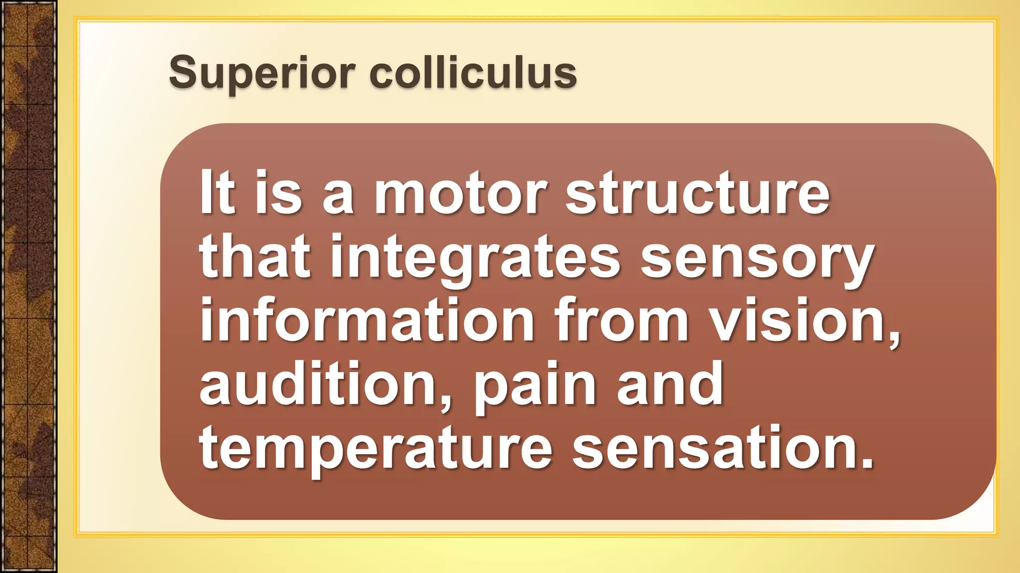 It is a motor structure
that integrates sensory
information from vision,
audition, pain and
temperature sensation.
Superior colliculus
 