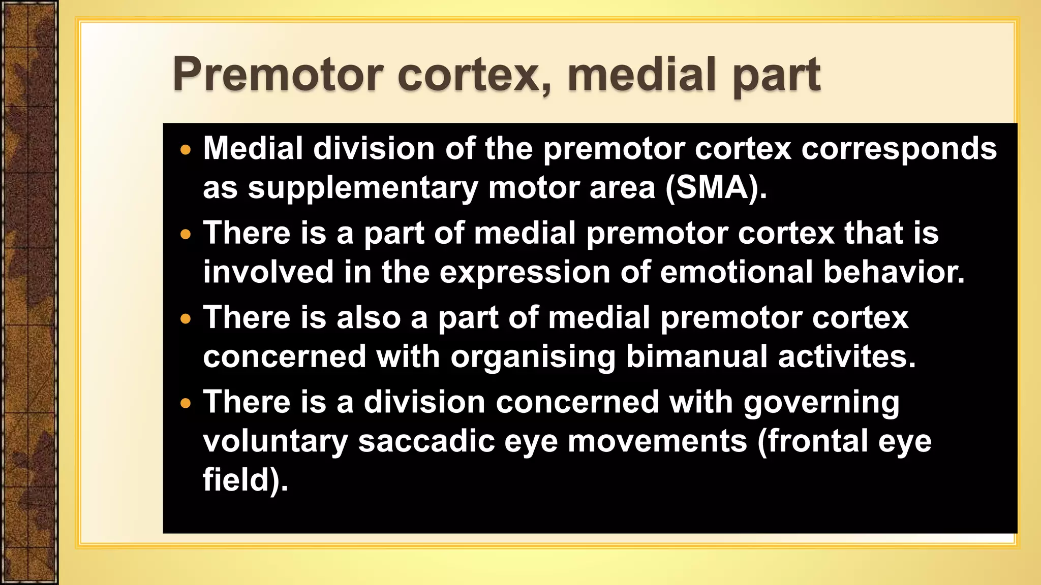  Medial division of the premotor cortex corresponds
as supplementary motor area (SMA).
 There is a part of medial premotor cortex that is
involved in the expression of emotional behavior.
 There is also a part of medial premotor cortex
concerned with organising bimanual activites.
 There is a division concerned with governing
voluntary saccadic eye movements (frontal eye
field).
Premotor cortex, medial part
 
