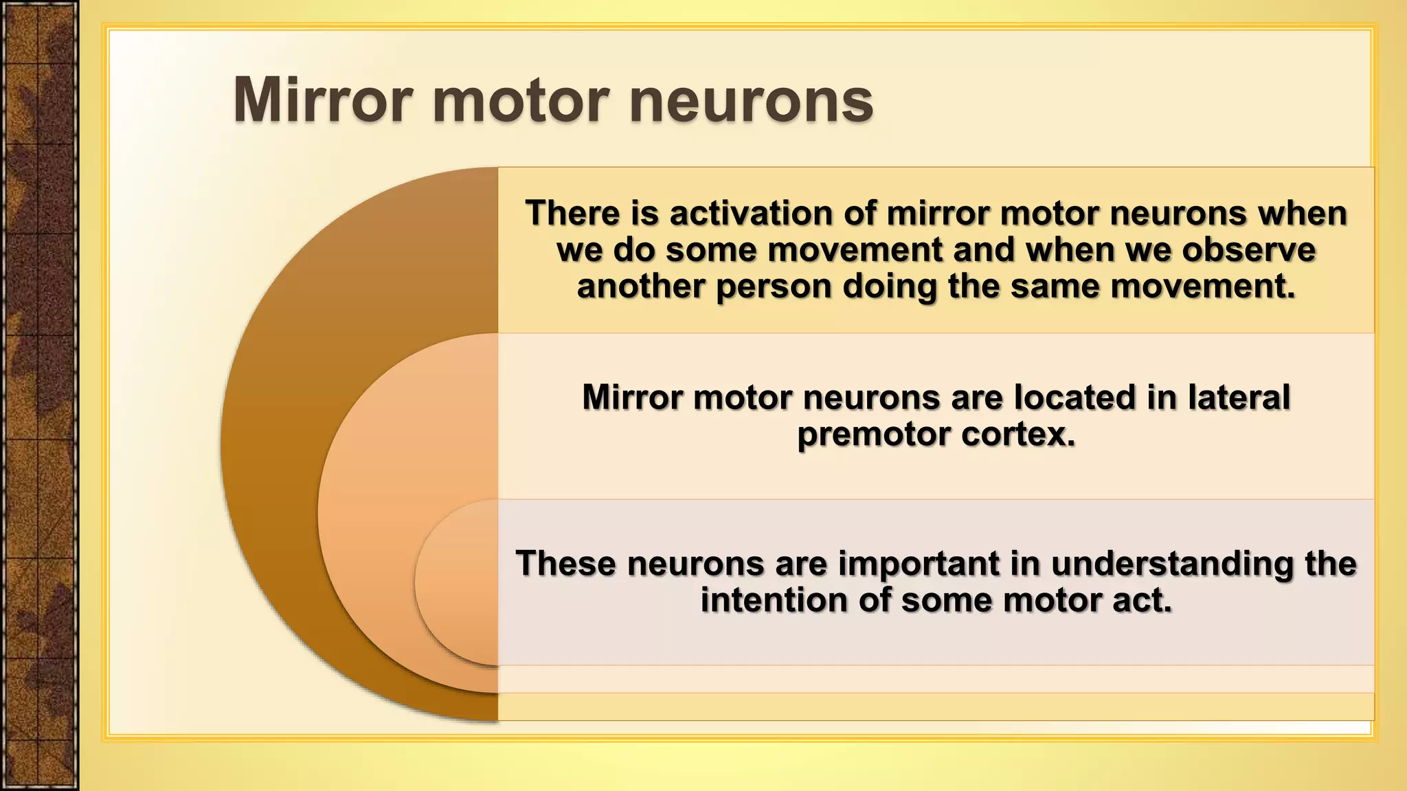 There is activation of mirror motor neurons when
we do some movement and when we observe
another person doing the same movement.
Mirror motor neurons are located in lateral
premotor cortex.
These neurons are important in understanding the
intention of some motor act.
Mirror motor neurons
 