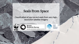 Seals From Space
Classification of sea ice and seals from very high-
resolution satellite imagery
 