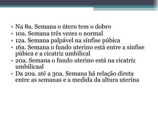 Na 8a. Semana o útero tem o dobro 10a. Semana três vezes o normal 12a. Semana palpável na sínfise púbica 16a. Semana o fundo uterino está entre a sínfise púbica e a cicatriz umbilical 20a. Semana o fundo uterino está na cicatriz umbilicaal Da 20a. até a 30a. Semana há relação direta entre as semanas e a medida da altura uterina 