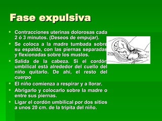 Fase expulsiva
 Contracciones uterinas dolorosas cada
  2 ó 3 minutos. (Deseos de empujar).
 Se coloca a la madre tumbada sobre
  su espalda, con las piernas separadas
  y flexionadas sobre los muslos.
 Salida de la cabeza. Si el cordón
  umbilical está alrededor del cuello del
  niño quitarlo. De ahí, el resto del
  cuerpo
 El niño comienza a respirar y a llorar.
 Abrigarlo y colocarlo sobre la madre o
  entre sus piernas.
 Ligar el cordón umbilical por dos sitios
  a unos 20 cm. de la tripita del niño.
 