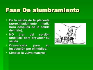 Fase De alumbramiento
 Es la salida de la placenta
  (aproximadamente media
  hora después de la salida
  del niño).
 NO     tirar  del    cordón
  umbilical para provocar su
  salida.
 Conservarla      para    su
  inspección por el médico.
 Limpiar la vulva materna.
 