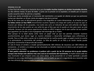 SEMANA 33 A 38
La fase final del embarazo es bastante dura para la madre muchas mujeres se sienten incomodas durante
los dos últimos meses, él peso de bebe y junto con la presión en la espalada y la batalla por el espacio
pueda causarles dolor de piernas y espaldas.
Pueda que sienta ansiedad por el momento del nacimiento y se quede sin aliento ya que sus pulmones
luchan por absorber un 20 por ciento de oxigeno más de lo normal.
Una de las cosas que se descubrieron gracias a las ecografías en cuatro dimensiones es el hecho en que
los bebes entran en fase MOR (movimientos oculares rápidos) una etapa del sueño en la que los ojos se
mueven por debajo de los parpados, mas tarde esto sería un indicativo de que está soñando este ligero
movimiento de los ojos podría ser una señal de que al feto que aún le queda un mes para nacer ya está
soñando. Aunque con tan pocas experiencias vitales es difícil imaginar con lo que sueñan tal vez sueñen
que juguetean con los pies o con el gorgotear del estomago de su madre.
Pero porque En la edad adulta soñar tiene un papel vital ya que nos permite conectar nuestros
acontecimientos que tienen lugar en nuestro alrededor y desarrollar estrategias para enfrentarse al
mundo. Para un feto soñar a pesar de la simplicidad de los sueños puede jugar un papel crucial en cuanto
a la estimulación y crecimiento del cerebro .La falta de sueño en un feto y un recién nacido puede
perjudicar seriamente el desarrollo del cerebro .
En solo 8 meses el cerebro a creado aproximadamente 100 millones de neuronas con 100 trillones de
conexiones , el cerebro y la cabeza ya han alcanzado su tamaño máximo en el útero y aun así podrá salir
por la pelvis de su madre.
El feto podría sobrevivir sin problemas si pudiera salir a partir de las 35 semanas sin la ayuda médica
aunque más tiempo este adentro más sano será en el momento del nacimiento, la madre estará cada vez
mas incomoda lo que empezó como una única célula se ha convertido en un bebe apretado y pesado
también es una carga debilitadora considerable para la madre ya que al ir engordando va a necesitar cada
vez mas alimento del que su madre le podrá dar.
 