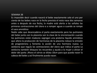SEMANA 38
Es imposible decir cuando nacerá el bebe exactamente solo el uno por
ciento de los bebes nace en la fecha prevista el resto nace dos semanas
antes o después de esa fecha, la madre está alerta a las señales las
primeras contracciones del útero o a romper aguas o cuando se rompe
el saco amniótico
Nadie sabe que desencadena el parto exactamente pero los pulmones
del bebe junto con la placenta son la clave de la sincronización cuando
los pulmones están maduros segregan una proteína liquido amniótico
que altera la producción de hormonas de la placenta reduce la emisión
de progesterona y fomenta la acción de una hormona nueva. La
oxitócina que regula las contracciones del útero que indica el parto La
oxitócina también bloquea los recuerdos y ayuda a la mujer a aliviar el
dolor del parto .Ahora el cérvix se dilata 10cm para que pueda nacer la
cabeza del bebe y así finalmente pueda nacer.
 
