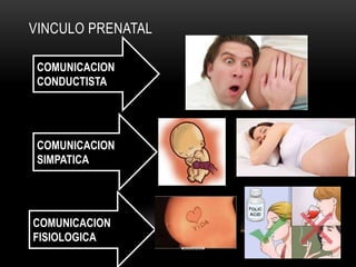 VINCULO PRENATAL
COMUNICACION
CONDUCTISTA
COMUNICACION
SIMPATICA
COMUNICACION
FISIOLOGICA
 