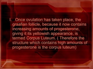 I. Once ovulation has taken place, the
graafian follicle, because it now contains
increasing amounts of progesterone,
giving it its yellowish appearance, is
termed Corpus Luteum. ( Therefore the
structure which contains high amounts of
progesterone is the corpus luteum)
 