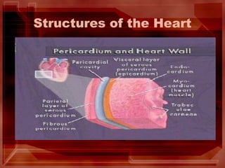 Structures of the Heart
 