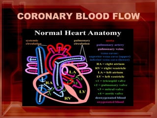 CORONARY BLOOD FLOW
 