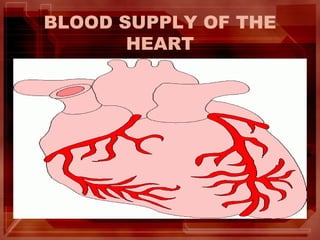 BLOOD SUPPLY OF THE
HEART
 