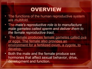 OVERVIEW
• The functions of the human reproductive system
are multifold.
• The male's reproductive role is to manufacture
male gametes called sperm and deliver them to
the female reproductive tract.
• The female produces female gametes called ova
or eggs. The female also provides an
environment for a fertilized ovum, a zygote, to
develop.
• Both the male and the female produce sex
hormones that affect sexual behavior, drive,
development and function.
 