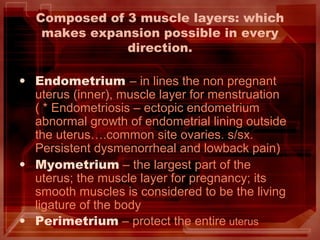 Composed of 3 muscle layers: which
makes expansion possible in every
direction.
• Endometrium – in lines the non pregnant
uterus (inner), muscle layer for menstruation
( * Endometriosis – ectopic endometrium
abnormal growth of endometrial lining outside
the uterus….common site ovaries. s/sx.
Persistent dysmenorrheal and lowback pain)
• Myometrium – the largest part of the
uterus; the muscle layer for pregnancy; its
smooth muscles is considered to be the living
ligature of the body
• Perimetrium – protect the entire uterus
 