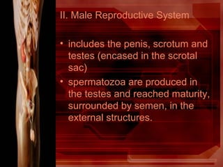II. Male Reproductive System
• includes the penis, scrotum and
testes (encased in the scrotal
sac)
• spermatozoa are produced in
the testes and reached maturity,
surrounded by semen, in the
external structures.
 
