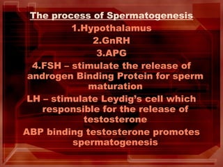 The process of Spermatogenesis
1.Hypothalamus
2.GnRH
3.APG
4.FSH – stimulate the release of
androgen Binding Protein for sperm
maturation
LH – stimulate Leydig’s cell which
responsible for the release of
testosterone
ABP binding testosterone promotes
spermatogenesis
 
