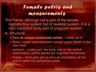 Female pelvis and
measurements
The Pelvis- although not a part of the female
reproductive system but of skeletal system. It is a
very important body part of pregnant women.
A. Structure
1.Two os coxae/ innominate bones – made up of :
– Ilium – upper extended part; curved upper border is the
iliac crest
– Ischium – under part; the body rsts on the ischial
tuberosities; ischial spines are important landmarks
– Pubes – front part; join to form an articulation of the
pelvis called the symphysis pubis
 