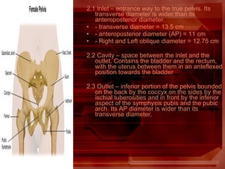 2.1 Inlet – entrance way to the true pelvis. Its
transverse diameter is wider than its
anteroposterior diameter.
• - transverse diameter = 13.5 cm
• - anteroposterior diameter (AP) = 11 cm
• - Right and Left oblique diameter = 12.75 cm
2.2 Cavity – space between the inlet and the
outlet. Contains the bladder and the rectum,
with the uterus between them in an anteflexed
position towards the bladder
2.3 Outlet – inferior portion of the pelvis bounded
on the back by the coccyx on the sides by the
ischial tuberosities and in front by the inferior
aspect of the symphysis pubis and the pubic
arch. Its AP diameter is wider than its
transverse diameter.
 