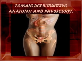 FEMALE REPRODUCTIVE
ANATOMY AND PHYSIOLOGY:
 