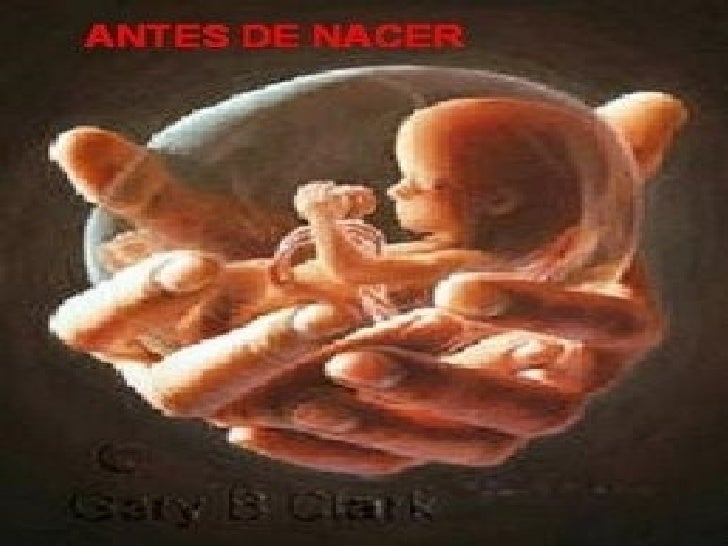 LA VIDA ANTES DE NACER