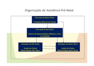 Organização da Assistência Pré-Natal
Pré-natal de Baixo Risco
Unidades Básicas de Saúde
Gestação de Alto Risco
Grade de Partos
Maternidades Alto Risco
Gestação de Baixo Risco
Grade de Partos
Maternidades Baixo Risco
Pré-natal de Alto Risco
Centro de Especialidades Médicas ( Amb.
ou Hospital)
 