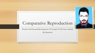 Comparative Reproduction
Prenatal And Postnatal Developments Of Gonads Of The Farm Animals
By, Shazinosh
 