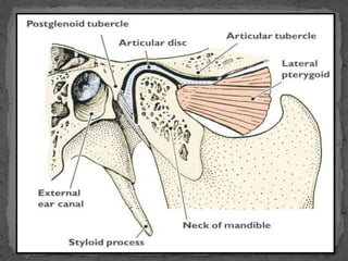 Prenatal and postnatal growth of mandible | PPTX