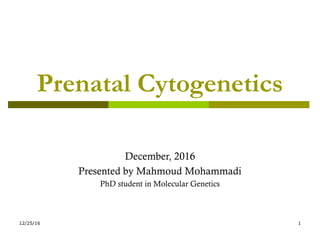 Prenatal Cytogenetics
December, 2016
Presented by Mahmoud Mohammadi
PhD student in Molecular Genetics
12/25/16 1
 