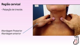 Região cervical
• Palpação de tireoide.
Abordagem Posterior
Abordagem anterior
 
