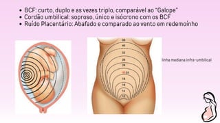 BCF: curto, duplo e as vezes triplo, comparável ao “Galope”
Cordão umbilical: soproso, único e isócrono com os BCF
Ruído Placentário: Abafado e comparado ao vento em redemoínho
linha mediana infra-umbilical
 