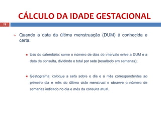 CÁLCULO DA IDADE GESTACIONAL
 Quando a data da última menstruação (DUM) é conhecida e
certa:
 Uso do calendário: some o número de dias do intervalo entre a DUM e a
data da consulta, dividindo o total por sete (resultado em semanas);
 Gestograma: coloque a seta sobre o dia e o mês correspondentes ao
primeiro dia e mês do último ciclo menstrual e observe o número de
semanas indicado no dia e mês da consulta atual.
19
 
