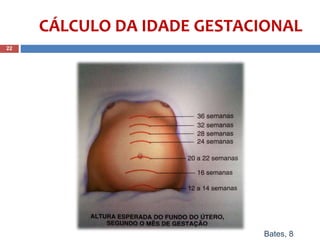 CÁLCULO DA IDADE GESTACIONAL
22
Bates, 8
 