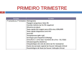 PRIMEIRO TRIMESTRE
47
 