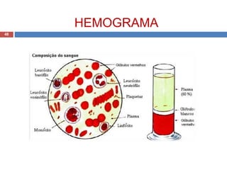 HEMOGRAMA
48
 