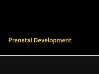 Prenatal Development 