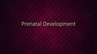Prenatal Development
 