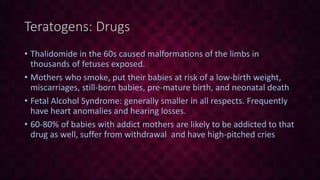 Teratogens: Drugs
• Thalidomide in the 60s caused malformations of the limbs in
thousands of fetuses exposed.
• Mothers who smoke, put their babies at risk of a low-birth weight,
miscarriages, still-born babies, pre-mature birth, and neonatal death
• Fetal Alcohol Syndrome: generally smaller in all respects. Frequently
have heart anomalies and hearing losses.
• 60-80% of babies with addict mothers are likely to be addicted to that
drug as well, suffer from withdrawal and have high-pitched cries
 