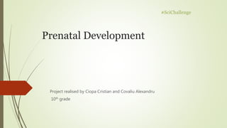 #SciChallenge
Prenatal Development
Project realised by Ciopa Cristian and Covaliu Alexandru
10th grade
 