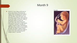 Month 9
 Month 9: Your baby continues to
grow and mature: the lungs are
nearly fully developed.Your baby's
reflexes are coordinated so he or
she can blink, close the eyes, turn
the head, grasp firmly, and respond
to sounds, light, and touch. Baby is
definitely ready to enter the
world!You may notice that your
baby moves less due to tight space.
Your baby's position changes to
prepare itself for labor and delivery.
The baby drops down in your pelvis.
Usually, the baby's head is down
toward the birth canal.Your baby is
about 18 to 20 inches long and
weighs about 7 pounds.
 