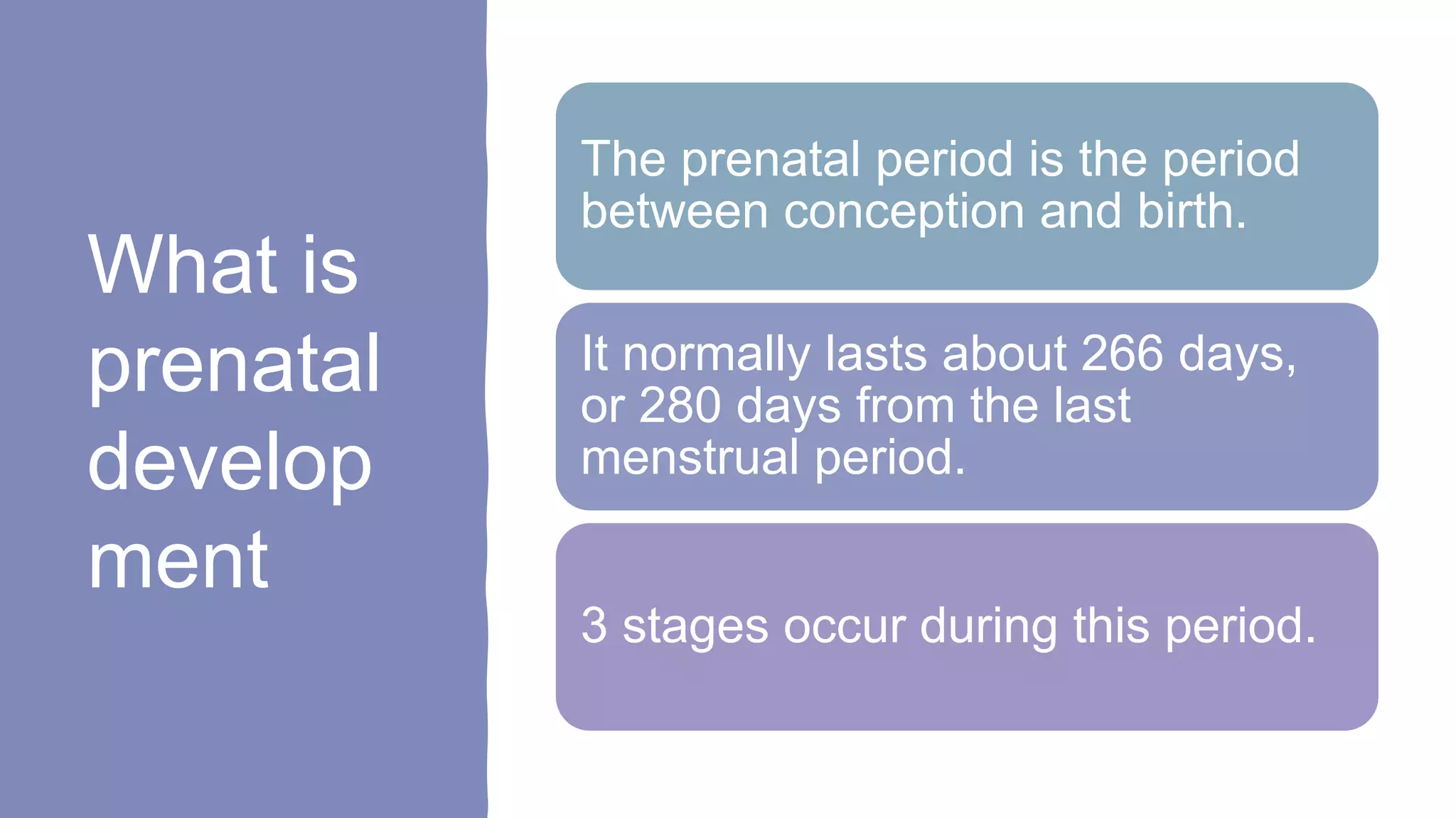 Prenatal Development.pptx