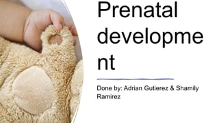 Prenatal
developme
nt
Done by: Adrian Gutierez & Shamily
Ramirez
 