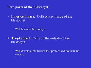 Comprehensive Overview of Embryology: Prenatal Development and ...