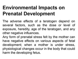 discussion about the stages of prenatal development | PPTX