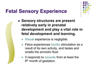 Fetal Sensory Experience
 Sensory structures are present
relatively early in prenatal
development and play a vital role in
fetal development and learning.
 Visual experience is negligible.
 Fetus experiences tactile stimulation as a
result of its own activity, and tastes and
smells the amniotic fluid.
 It responds to sounds from at least the
6th month of gestation.
 