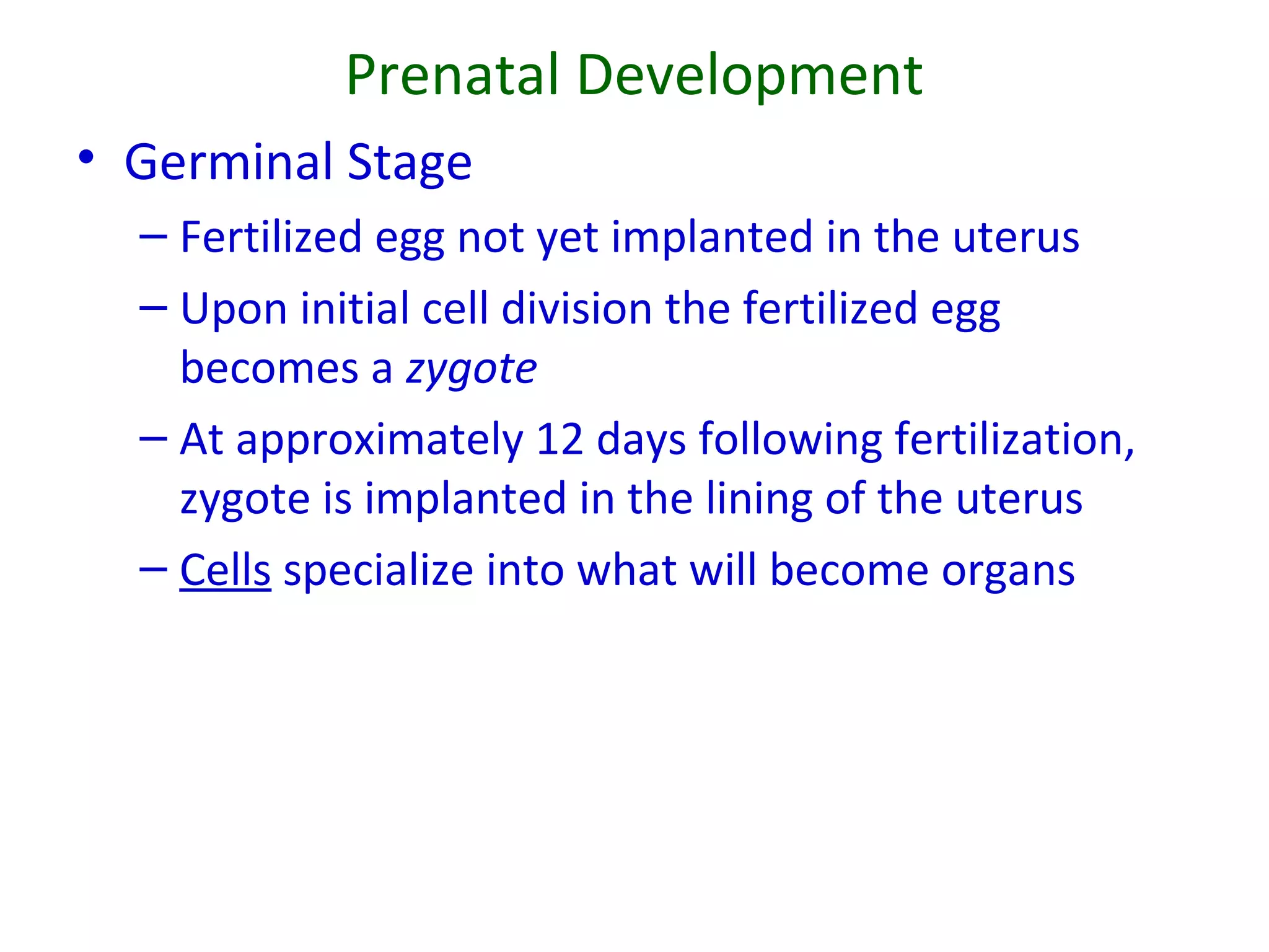 Prenatal Development
• Germinal Stage
– Fertilized egg not yet implanted in the uterus
– Upon initial cell division the fertilized egg
becomes a zygote
– At approximately 12 days following fertilization,
zygote is implanted in the lining of the uterus
– Cells specialize into what will become organs
 