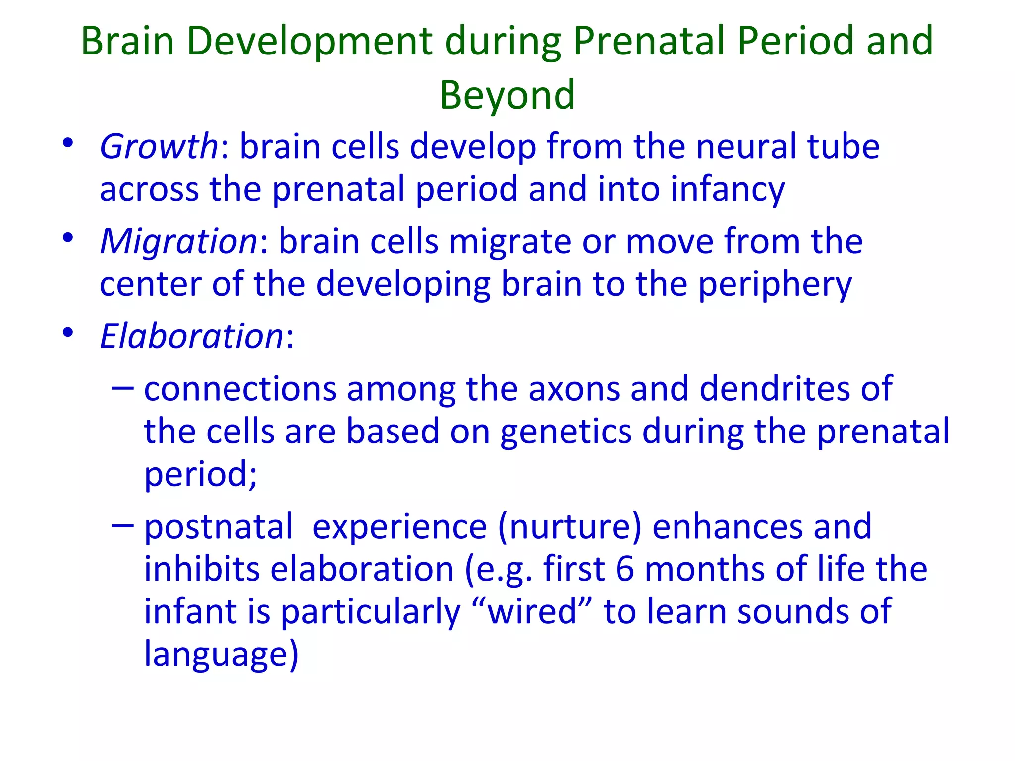 Brain Development during Prenatal Period and
Beyond
• Growth: brain cells develop from the neural tube
across the prenatal period and into infancy
• Migration: brain cells migrate or move from the
center of the developing brain to the periphery
• Elaboration:
– connections among the axons and dendrites of
the cells are based on genetics during the prenatal
period;
– postnatal experience (nurture) enhances and
inhibits elaboration (e.g. first 6 months of life the
infant is particularly “wired” to learn sounds of
language)
 