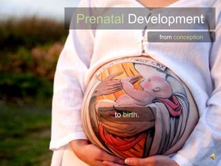 Prenatal Development
                  from conception




      to birth.
 