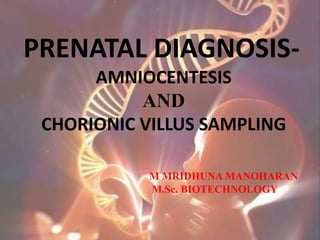 PRENATAL DIAGNOSIS-
AMNIOCENTESIS
AND
CHORIONIC VILLUS SAMPLING
M MRIDHUNA MANOHARAN
M.Sc. BIOTECHNOLOGY
 