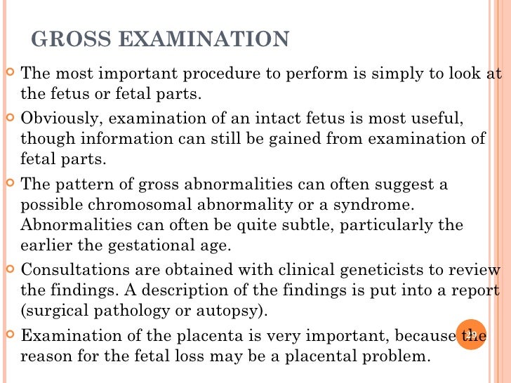 GROSS EXAMINATION <ul><li>The most important procedure to perform is simply to look at the fetus or fetal parts.  </li></u...