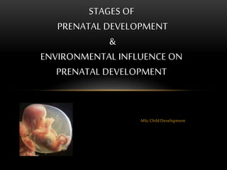 MSc Child Development
STAGES OF
PRENATAL DEVELOPMENT
&
ENVIRONMENTAL INFLUENCE ON
PRENATAL DEVELOPMENT
 
